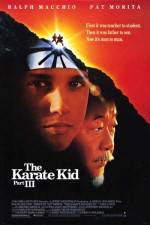 Watch The Karate Kid, Part III 123movies