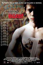 Watch Beautiful Boxer 123movies