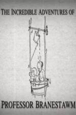 Watch The Incredible Adventures of Professor Branestawm 123movies