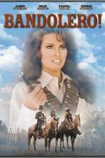 Watch Bandolero! 123movies