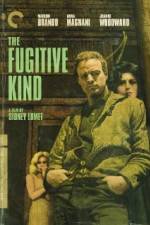 Watch The Fugitive Kind 123movies