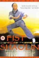 Watch Huang Fei Hong zhi nan er dang bao guo 123movies