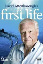 Watch First Life 123movies