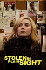 Watch Stolen in Plain Sight 123movies