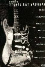 Watch A Tribute to Stevie Ray Vaughan 123movies
