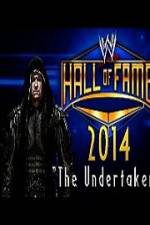 Watch WWE Hall Of Fame 2014 123movies
