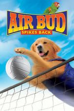 Watch Air Bud: Spikes Back 123movies