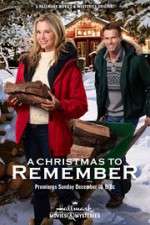 Watch A Christmas to Remember 123movies