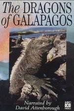 Watch The Dragons of Galapagos 123movies