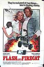 Watch Flash and the Firecat 123movies