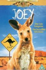 Watch Joey 123movies