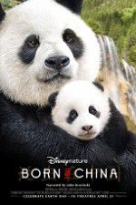 Watch Born in China 123movies