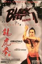 Watch Shao Lin ban pan tu 123movies
