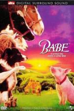 Watch Babe 123movies