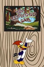 Watch The Redwood Sap (Short 1951) 123movies