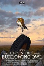 Watch The Hidden Life of the Burrowing Owl (Short 2008) 123movies