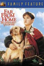 Watch Far from Home The Adventures of Yellow Dog 123movies