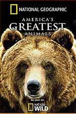 Watch America's Greatest Animals 123movies