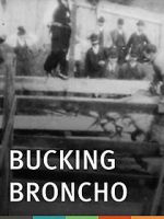 Watch Bucking Broncho 123movies