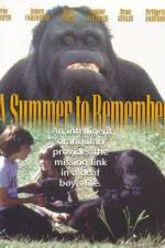 Watch A Summer to Remember 123movies