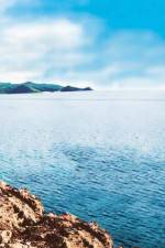 Watch Intent 123movies