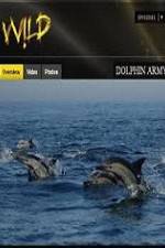 Watch National Geographic Wild Dolphin Army 123movies