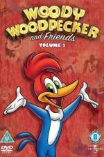 Watch Woody Woodpecker and His Friends 123movies