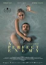 Watch A Perfect Enemy 123movies