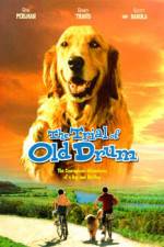 Watch The Trial of Old Drum 123movies