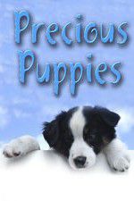 Watch Precious Puppies 123movies