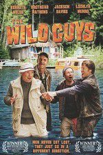 Watch The Wild Guys 123movies