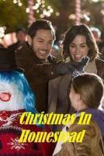 Watch Christmas in Homestead 123movies