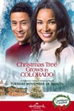 Watch A Christmas Tree Grows in Colorado 123movies
