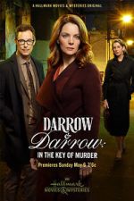Watch Darrow & Darrow 2 123movies