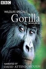 Watch Gorilla Revisited with David Attenborough 123movies