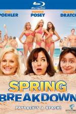Watch Spring Breakdown 123movies