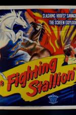 Watch The Fighting Stallion 123movies