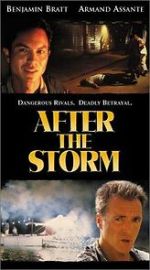 Watch After the Storm 123movies