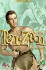 Watch Tarzan and the Trappers 123movies
