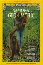 Watch Search for the Great Apes 123movies