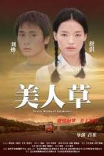 Watch The Foliage 123movies