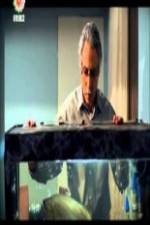 Watch The Disgraced 123movies