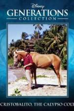 Watch Cristobalito the Calypso Colt 123movies
