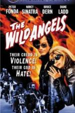 Watch The Wild Angels 123movies