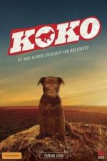 Watch Koko: A Red Dog Story 123movies