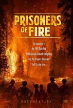 Watch Prisoners of Fire 123movies