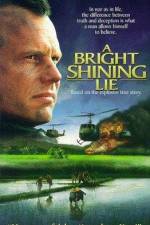 Watch A Bright Shining Lie 123movies