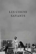 Watch Les chiens savants 123movies