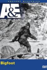 Watch A&E Ancient Mysteries - Bigfoot 123movies