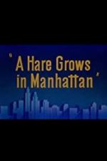 Watch A Hare Grows in Manhattan 123movies